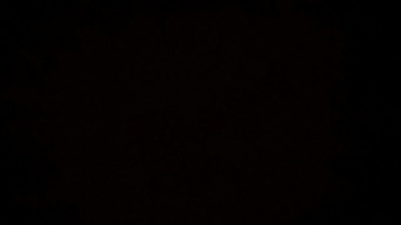 Tj_Guyxxx  12-03-2021